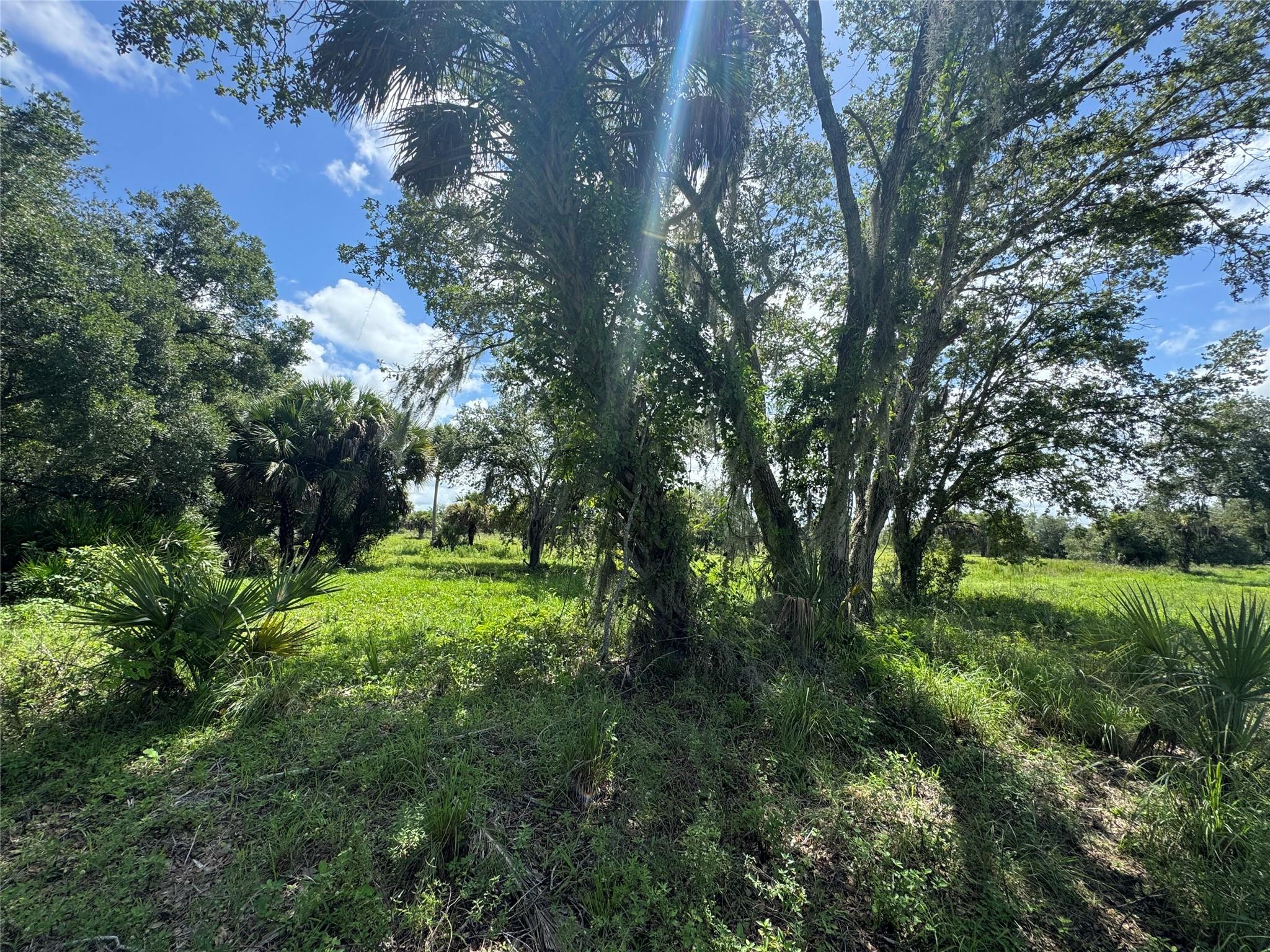 tbd Tbd Cr 832, Clewiston, FL 33440