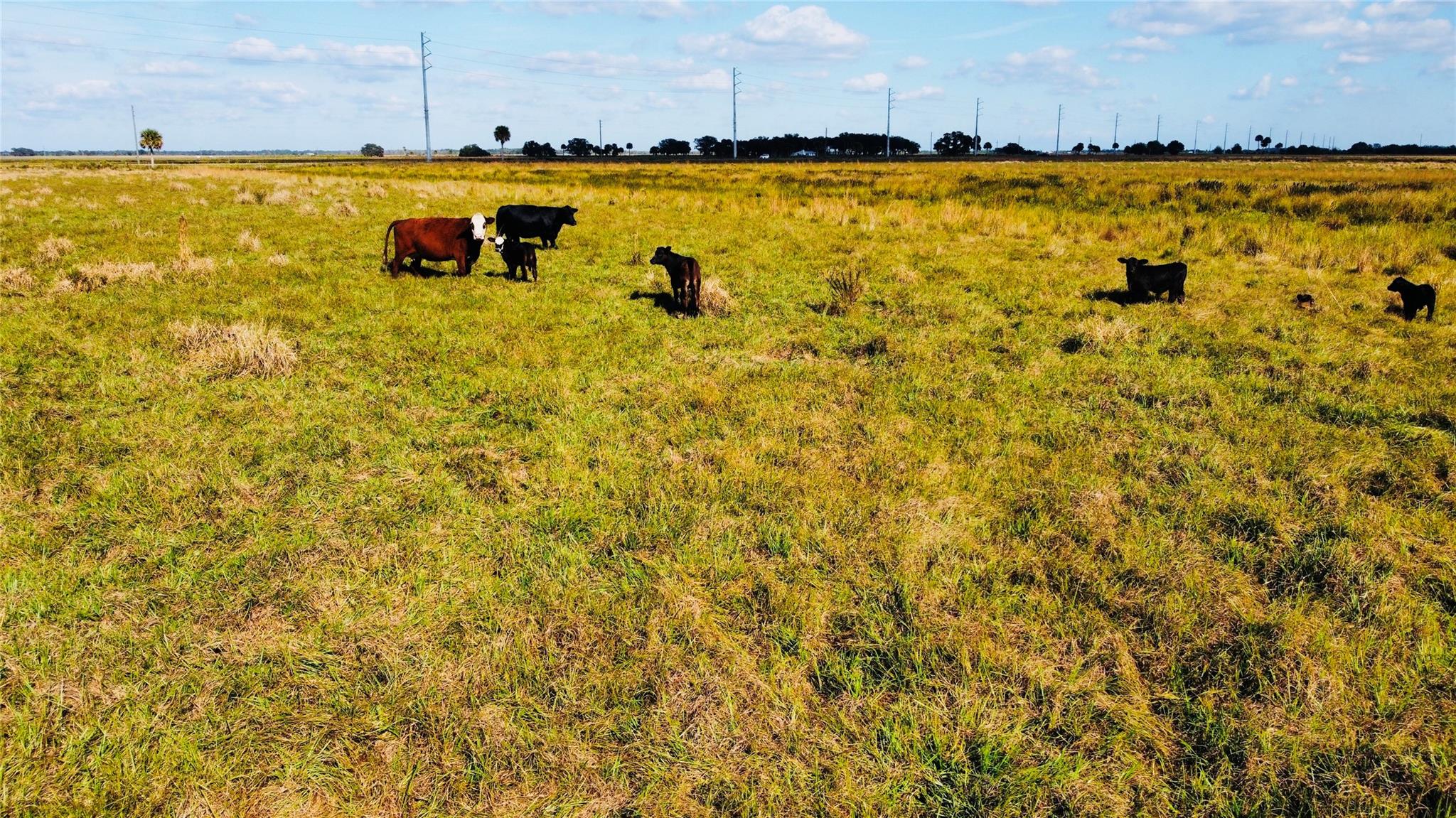 HWY 441N Highway 441n Highway 441, Okeechobee, FL 34972