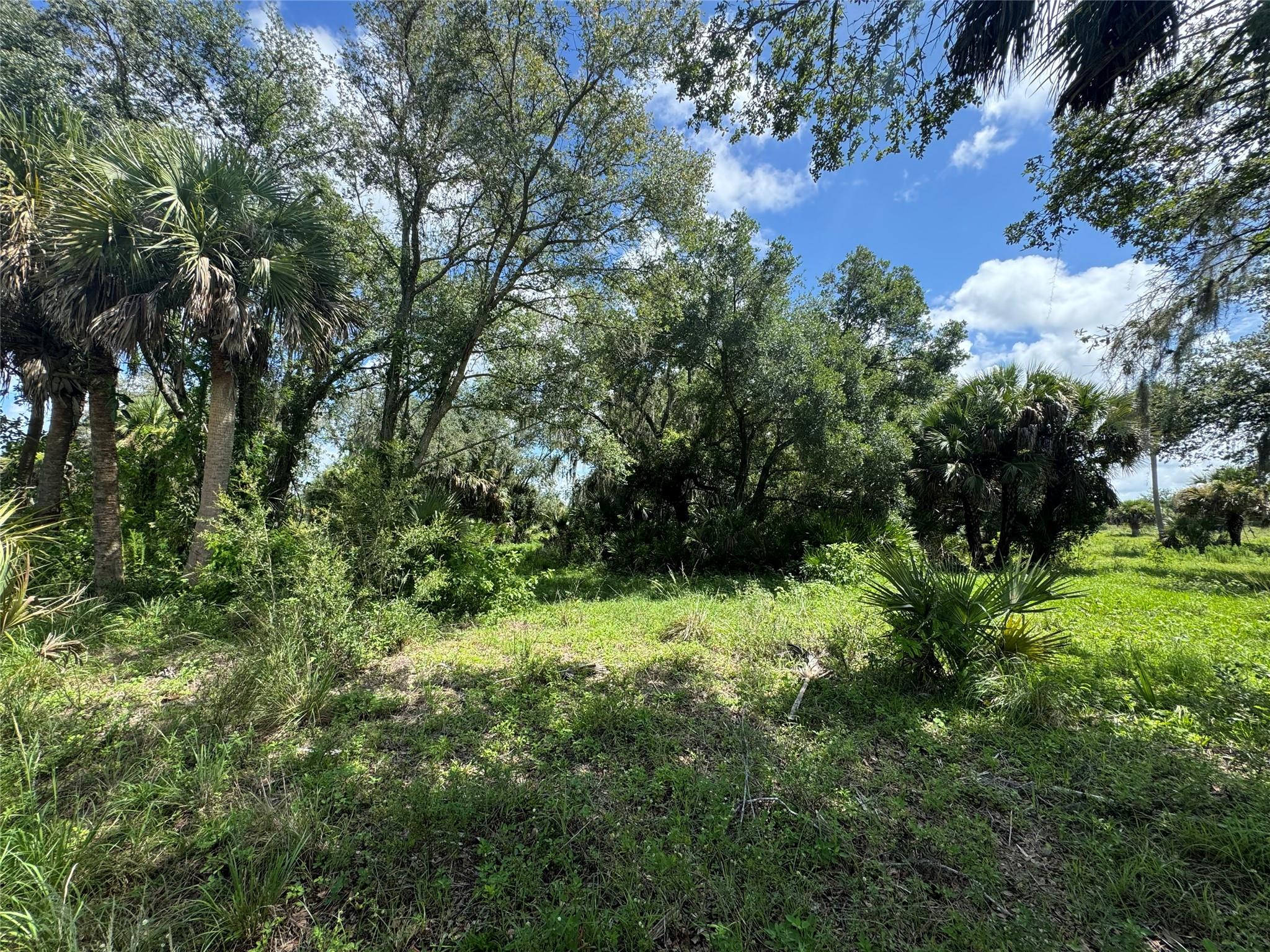 tbd Tbd Cr 832, Clewiston, FL 33440