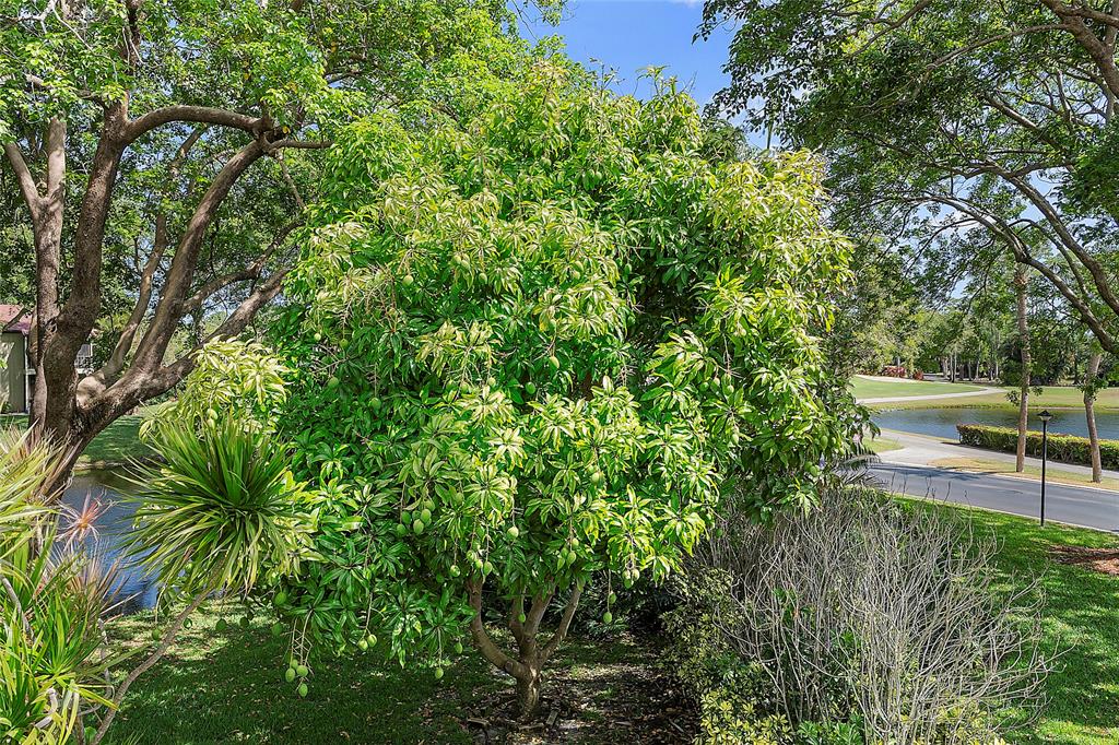 Photo for 8210 E Casa Del Lago, E, Boca Raton, FL 33433 - Listing #FX-10435946 8210 E Casa Del Lago, E, Boca Raton, FL 33433