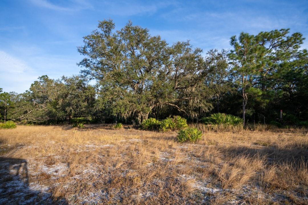 0 Lake Hatcheneha, Haines City, FL 33844