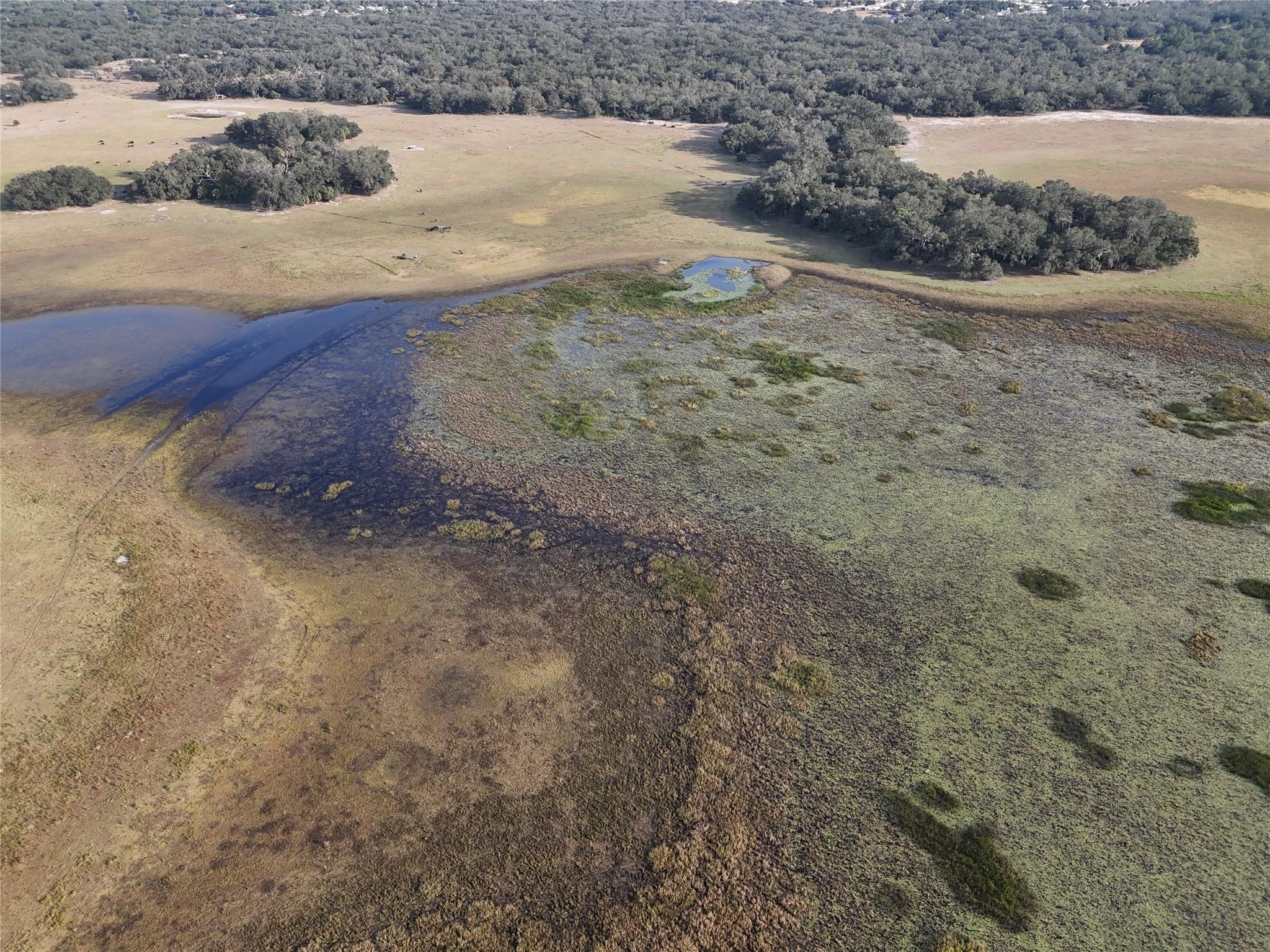 0 Lake Hatcheneha, Haines City, FL 33844