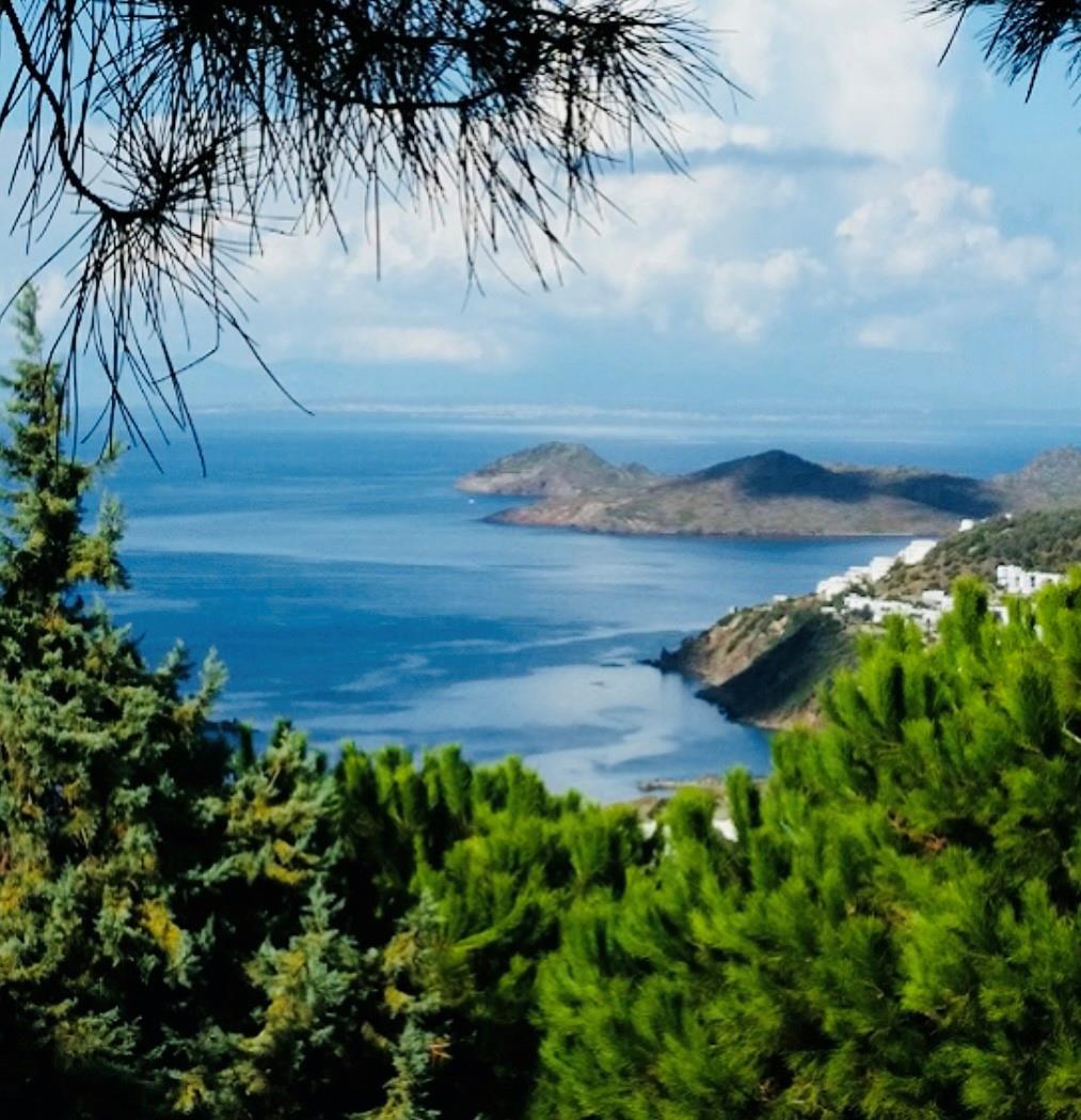 Photo for 1630 Sebboy Sokak, - listing #FX-10533850 1630 Sebboy Sokak,