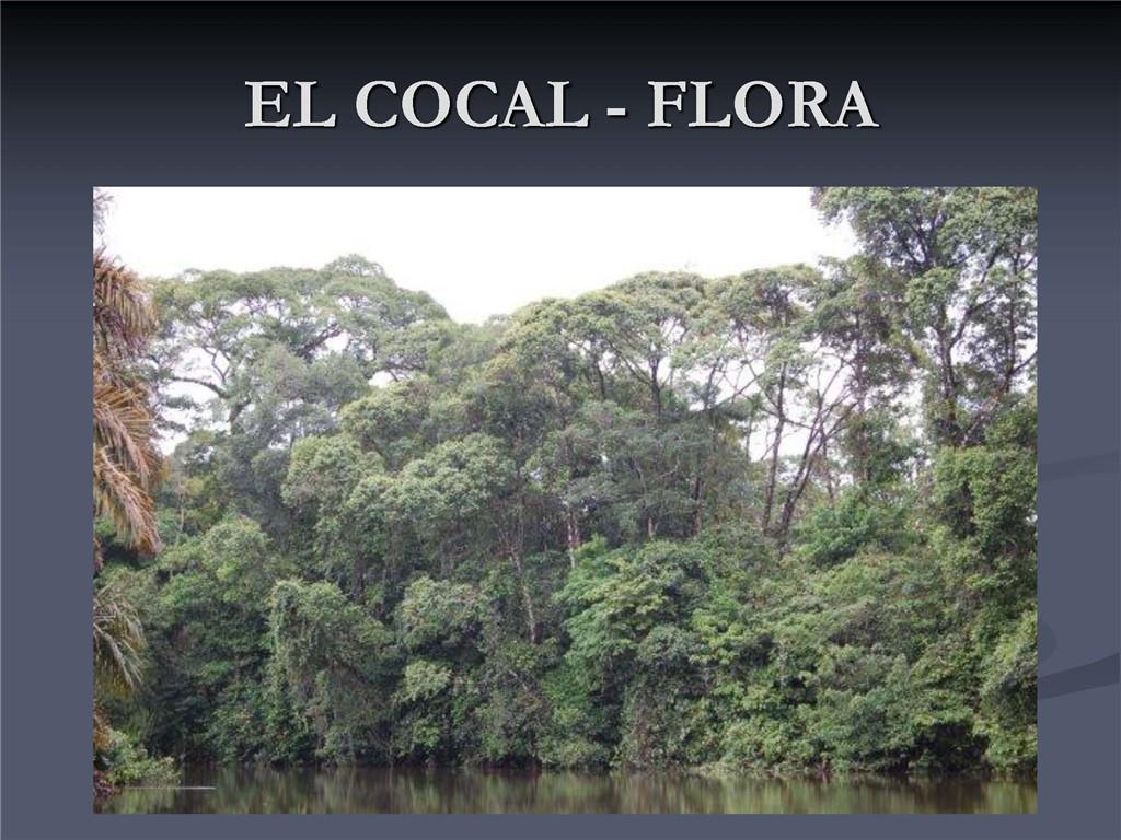 1001 Indian River, Other Fl City,