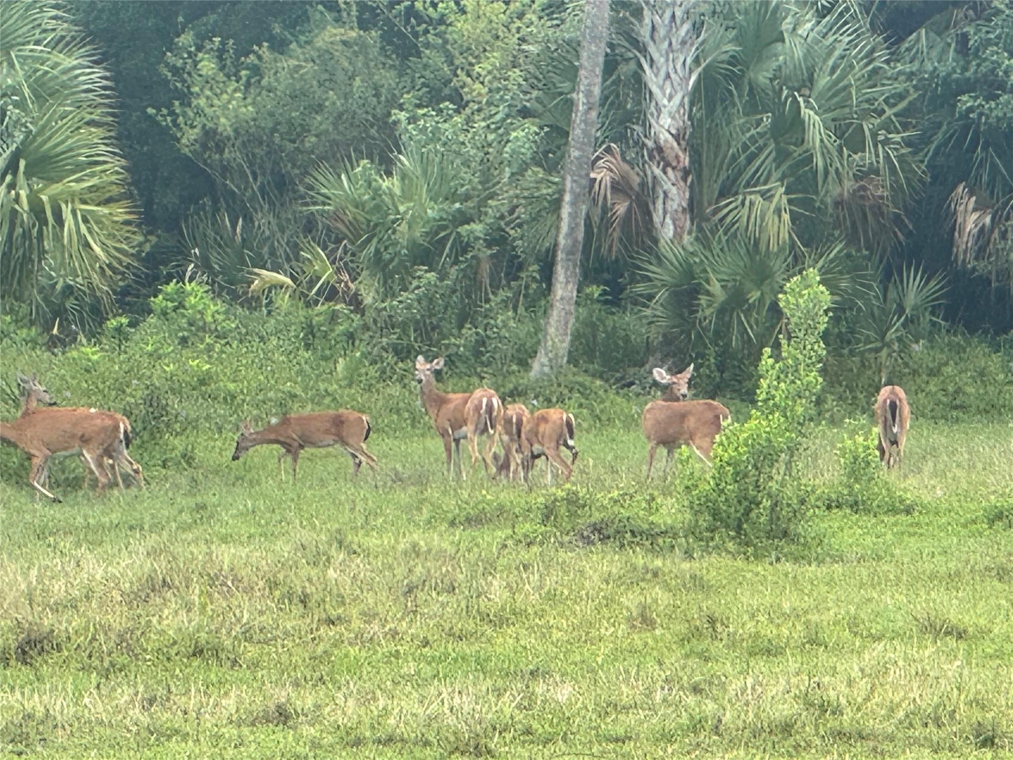 tbd Tbd Cr 832, Clewiston, FL 33440