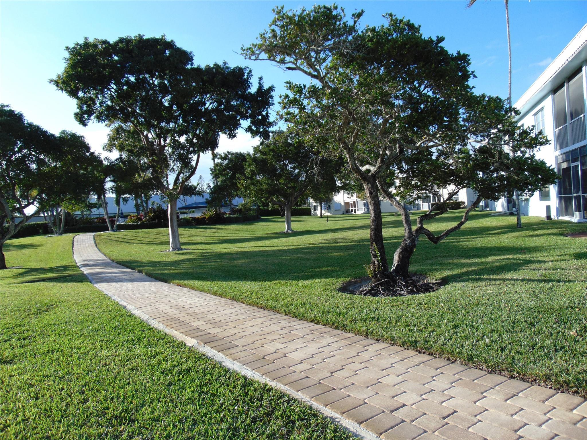 PATHWAY TO THE LARGE HEATED POOL. HAS COVERED PATIO.