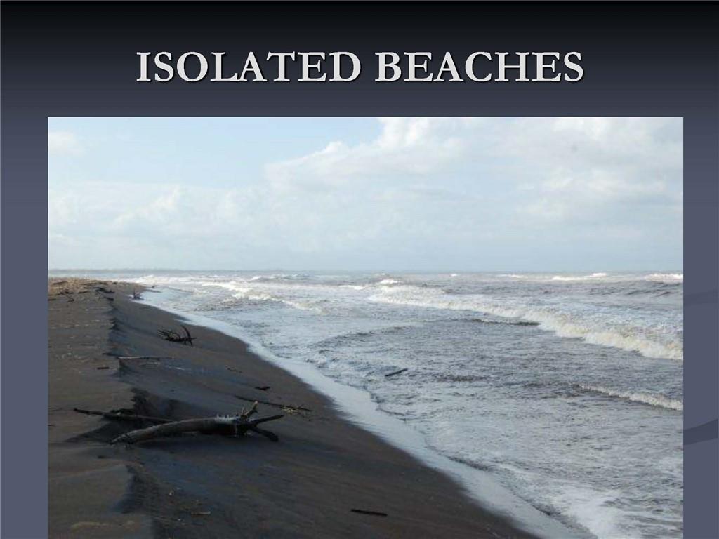 1001 Indian River, Other Fl City,