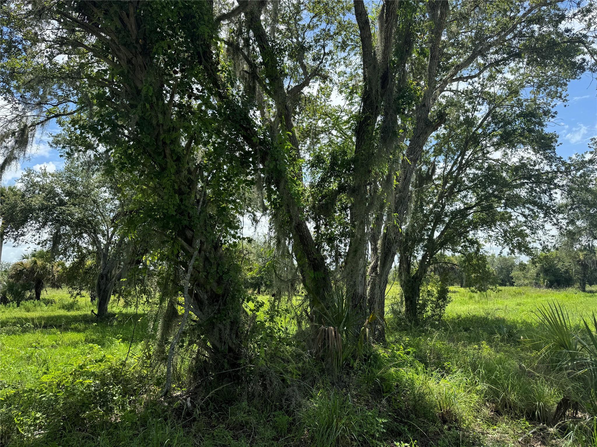 tbd Tbd Cr 832, Clewiston, FL 33440