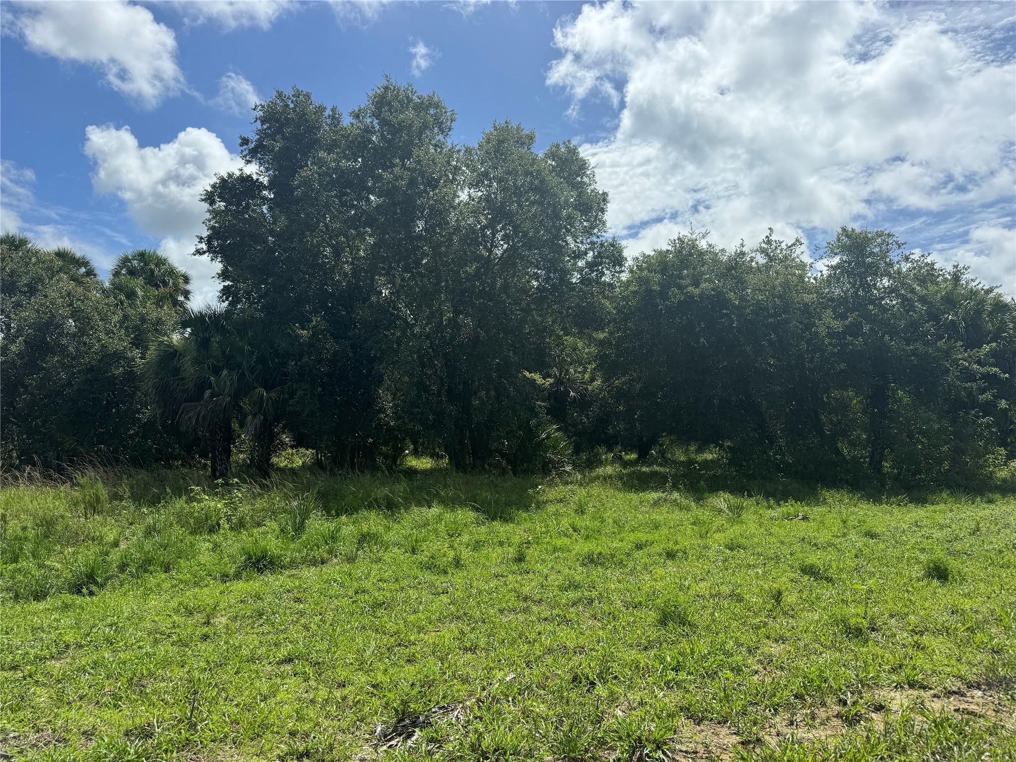 tbd Tbd Cr 832, Clewiston, FL 33440
