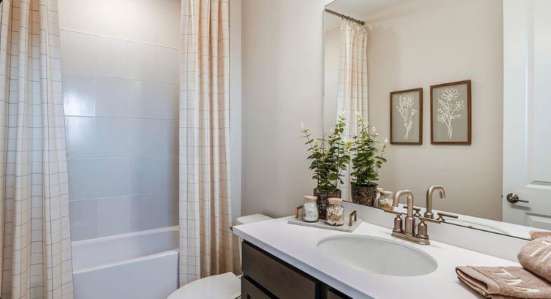 Representative Photo