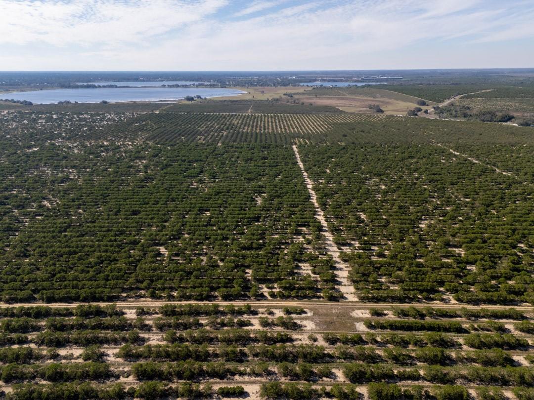 3073 Cr 627, Avon Park, FL 33825