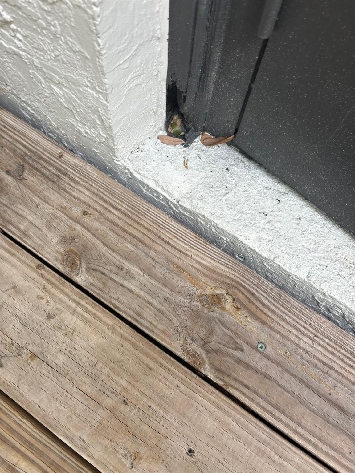 9746 NW 35th Street, Coral Springs, FL 33065