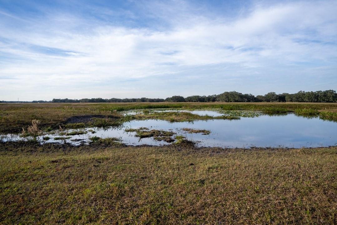 0 Lake Hatcheneha, Haines City, FL 33844