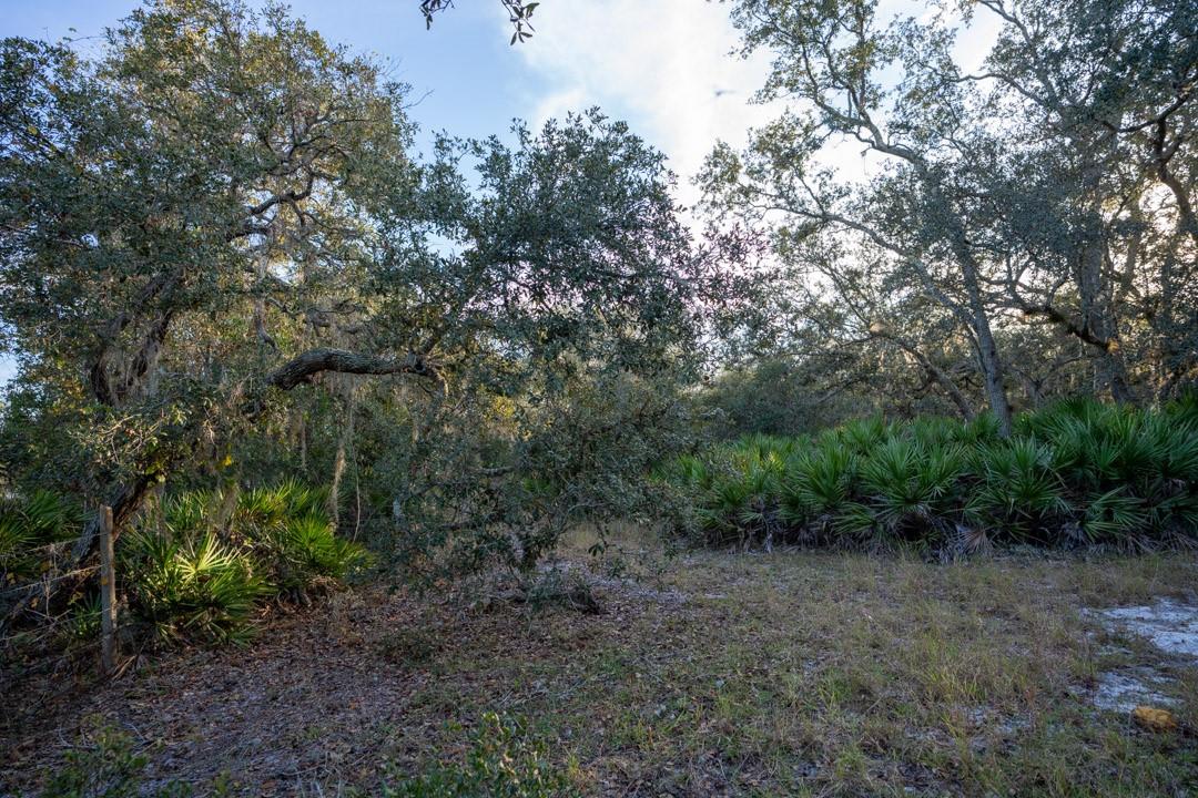 0 Lake Hatcheneha, Haines City, FL 33844