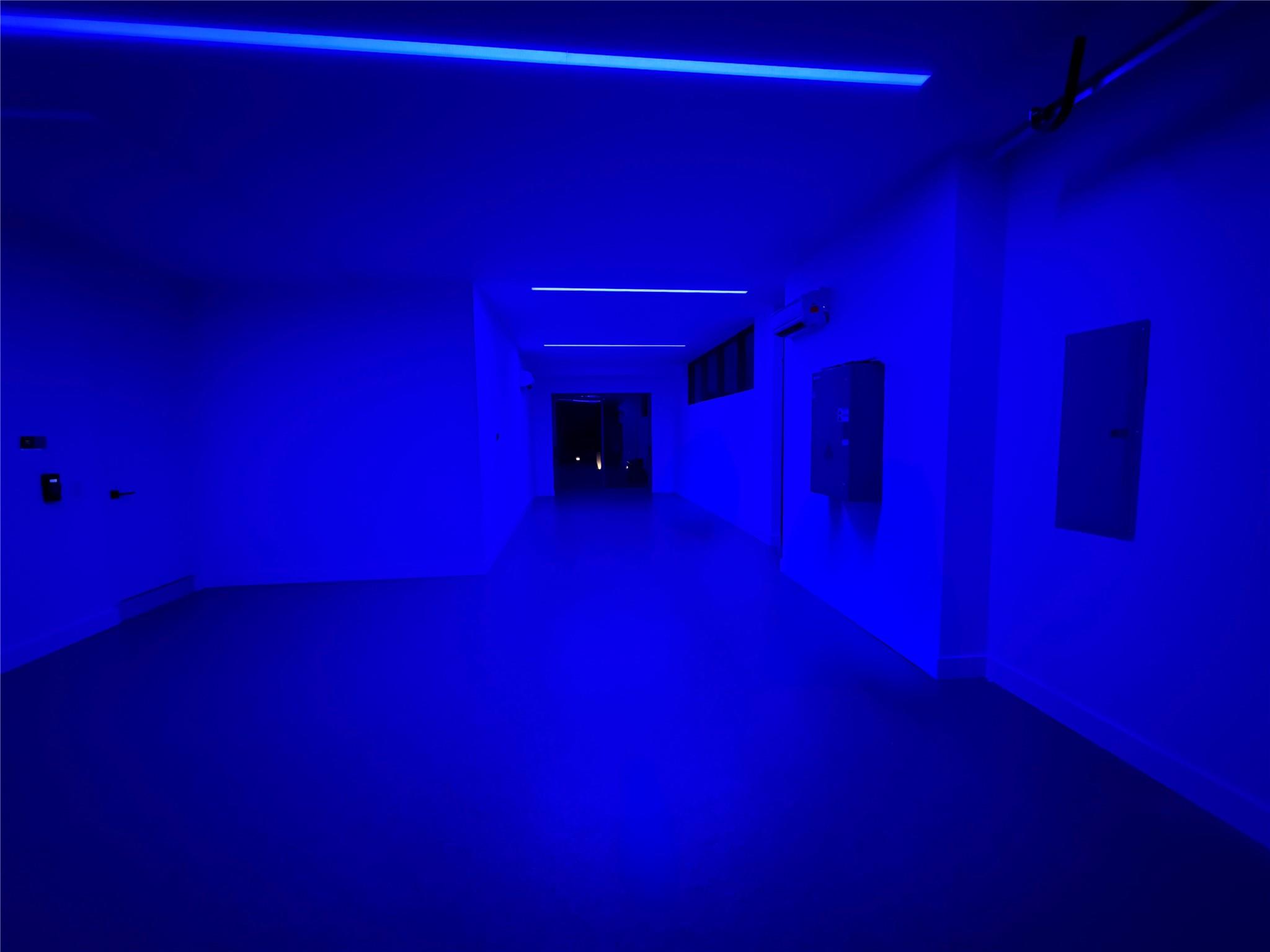 2880 NE 28th Street, Fort Lauderdale, FL 33306