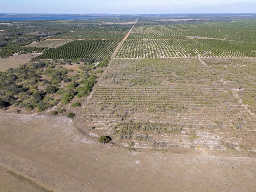 3073 Cr 627, Avon Park, FL 33825