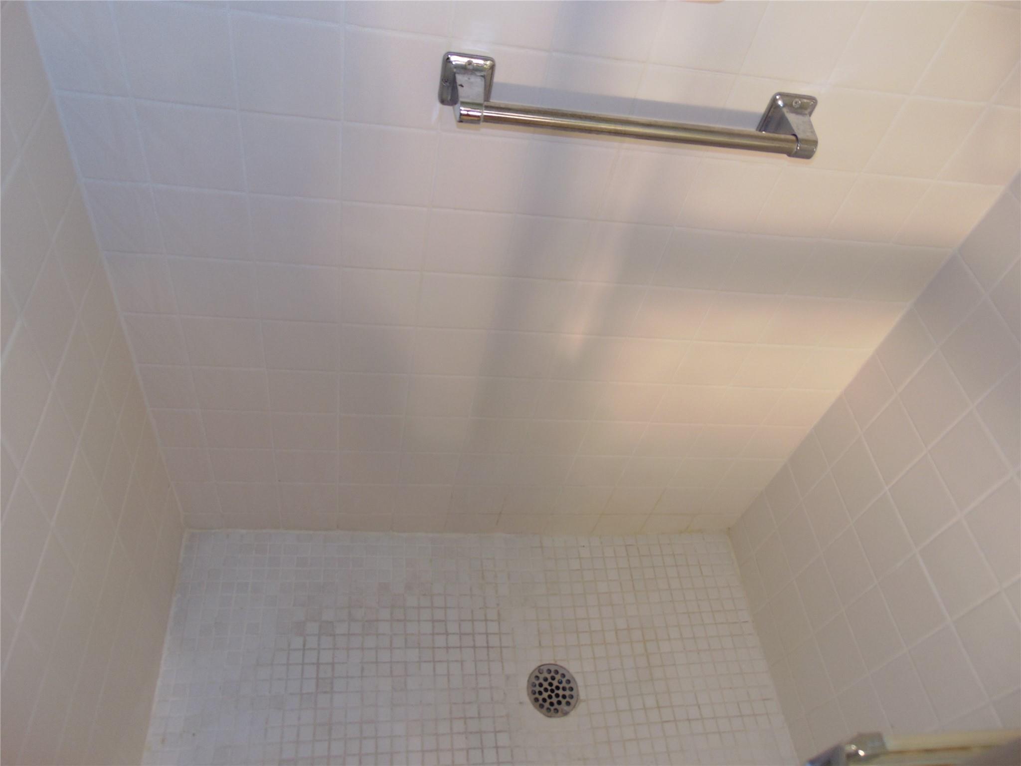 STALL SHOWER AT GUEST BATH WITH GRAB BARS AND WHITE TILE