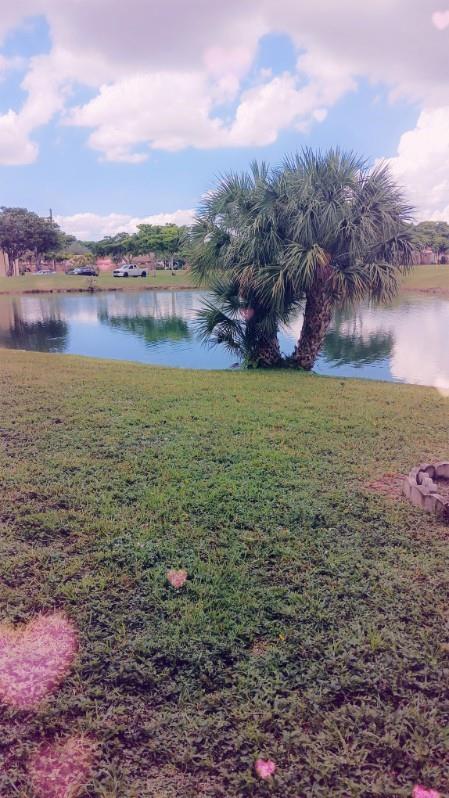 Photo for 8300 Sunrise Lakes Boulevard, 104, Sunrise, FL 33322 - listing #FX-10528541 8300 Sunrise Lakes Boulevard, 104, Sunrise, FL 33322