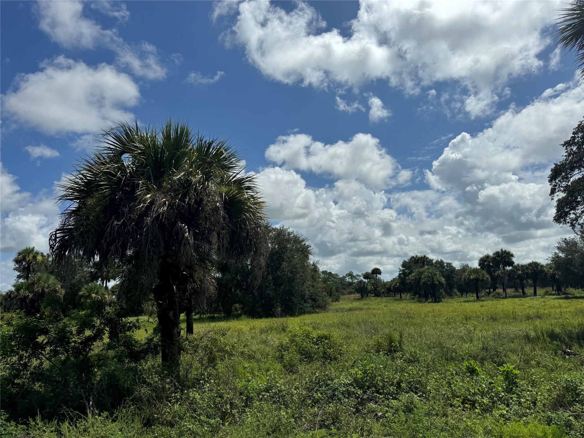 tbd Tbd Cr 832, Clewiston, FL 33440
