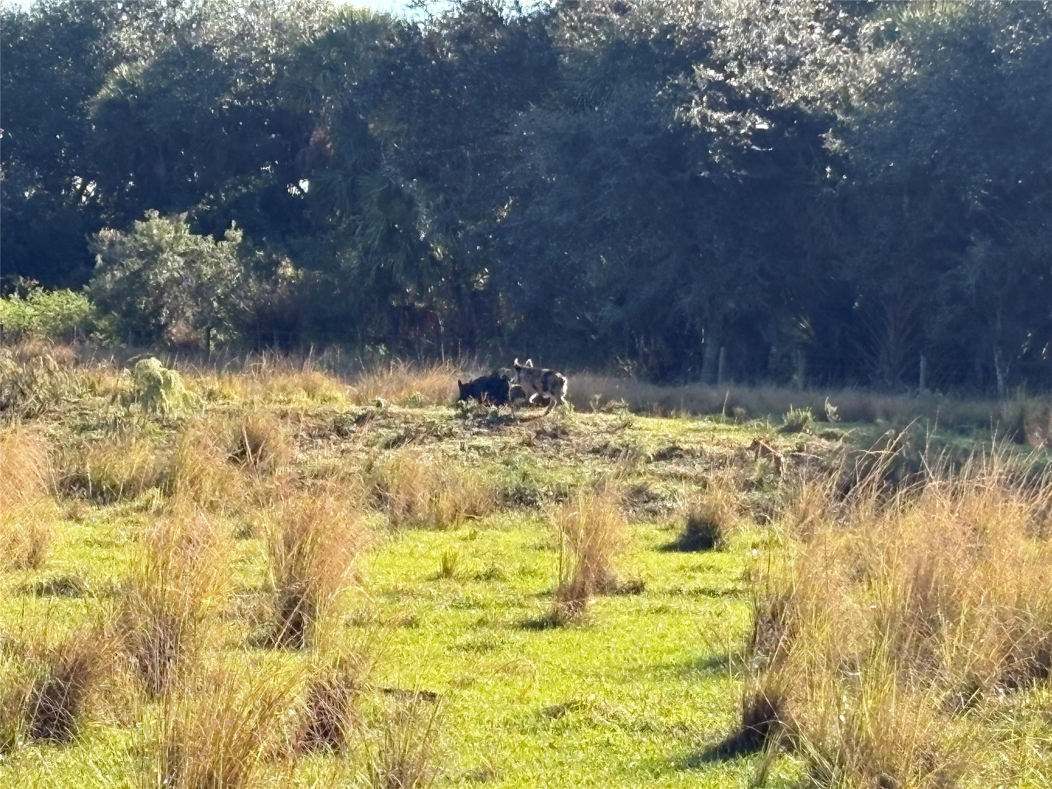 HWY 441N Highway 441n Highway 441, Okeechobee, FL 34972