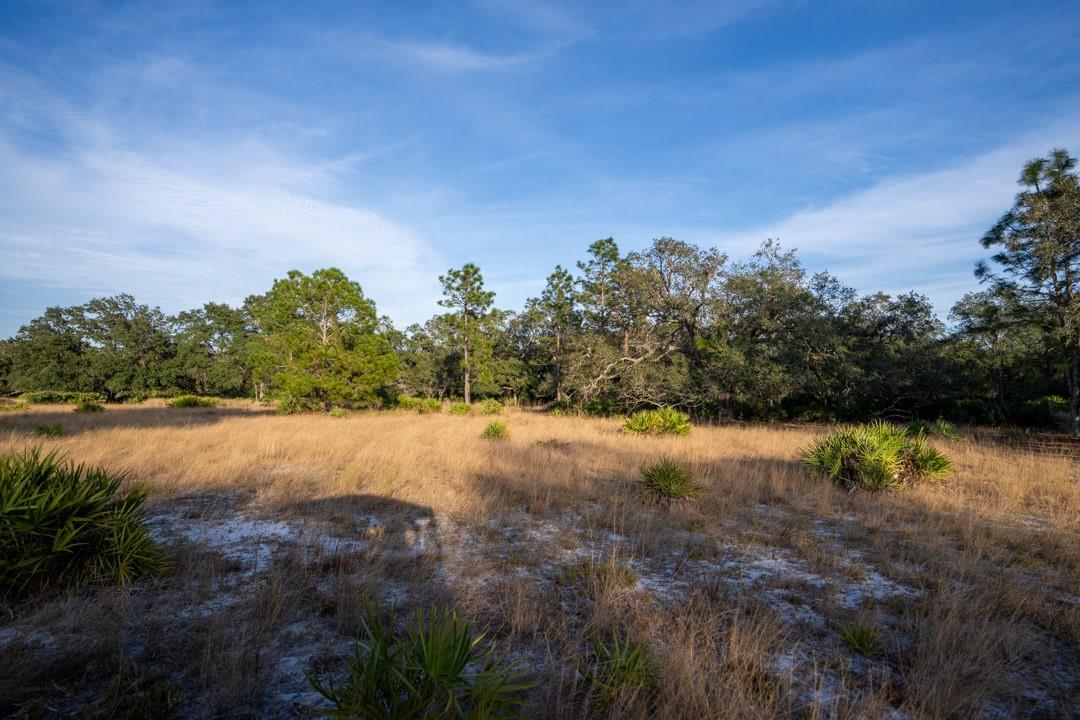 0 Lake Hatcheneha, Haines City, FL 33844