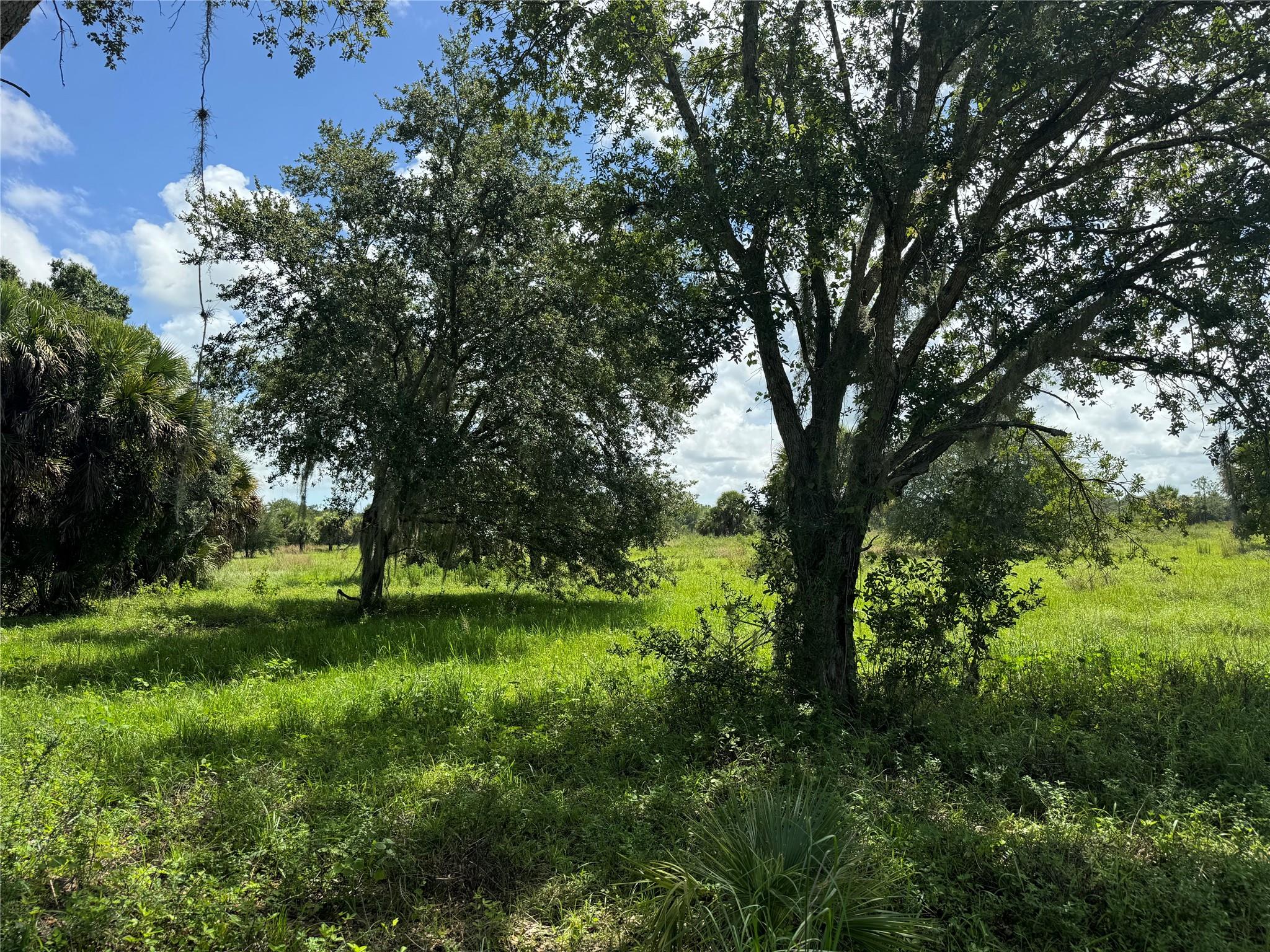 tbd Tbd Cr 832, Clewiston, FL 33440