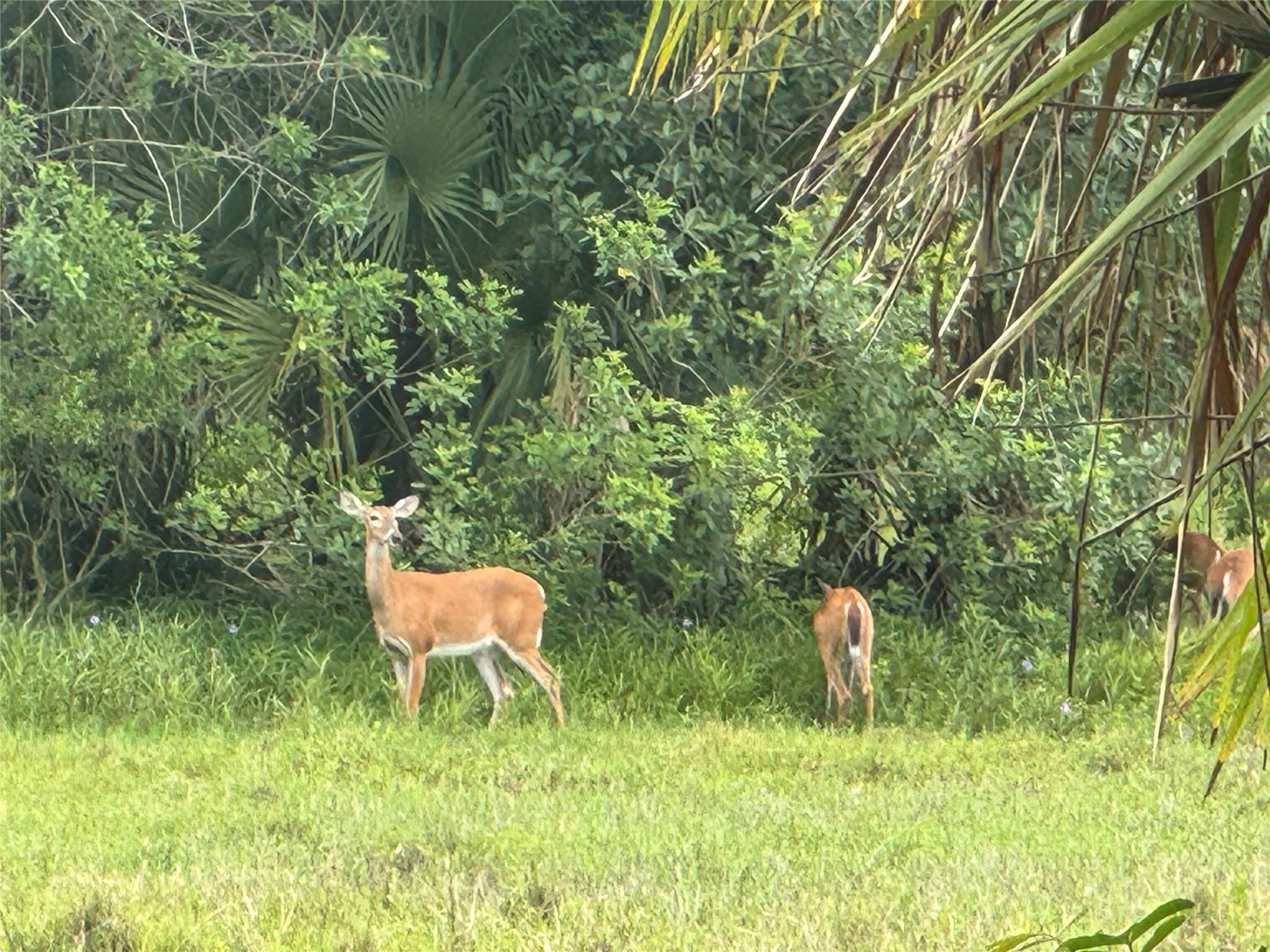 tbd Tbd Cr 832, Clewiston, FL 33440