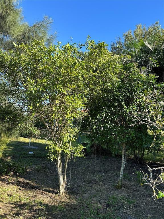Photo for 734 Wilson Terrace, Sebastian, FL 32958 - Listing #FX-10487672 734 Wilson Terrace, Sebastian, FL 32958