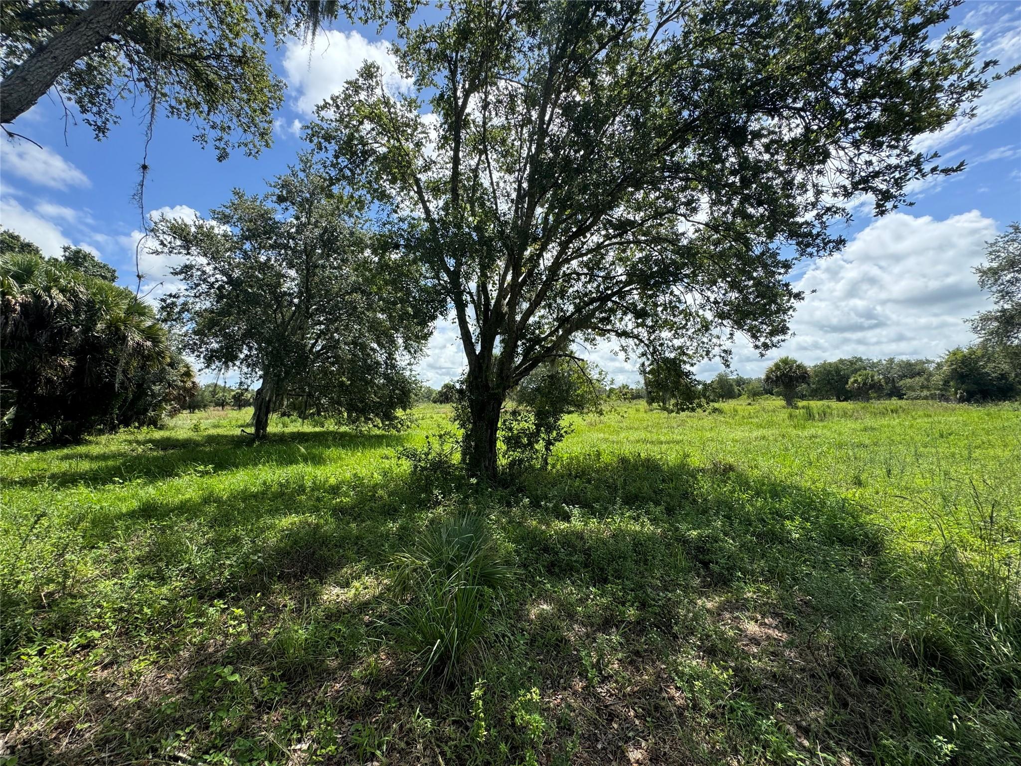 tbd Tbd Cr 832, Clewiston, FL 33440