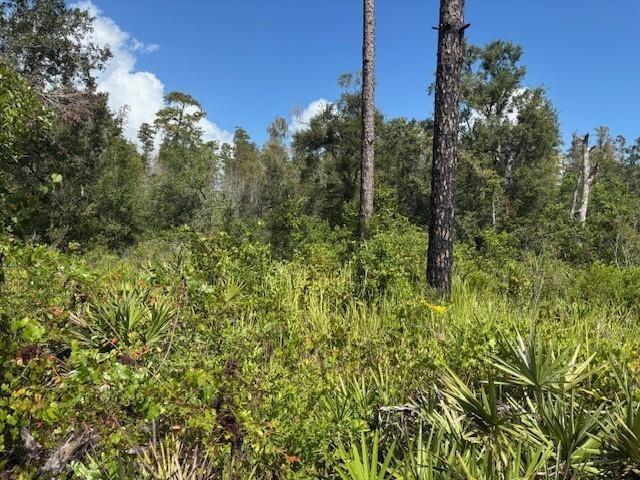 Photo for 0 County Road 54 E, Kathleen, FL 33849 - listing #FX-10535137 0 County Road 54 E, Kathleen, FL 33849