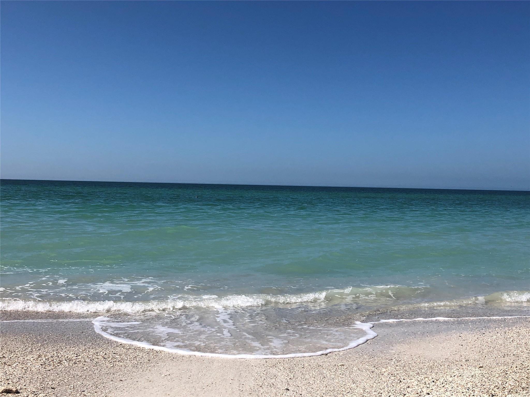 Beach on a Summer Day