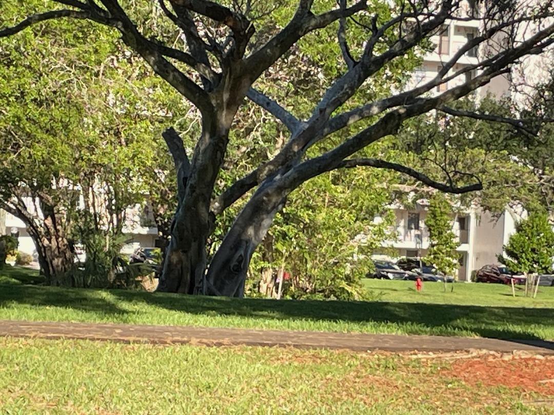 Photo for 605 Oaks Drive, 603, Pompano Beach, FL 33069 - listing #FX-10498994 605 Oaks Drive, 603, Pompano Beach, FL 33069