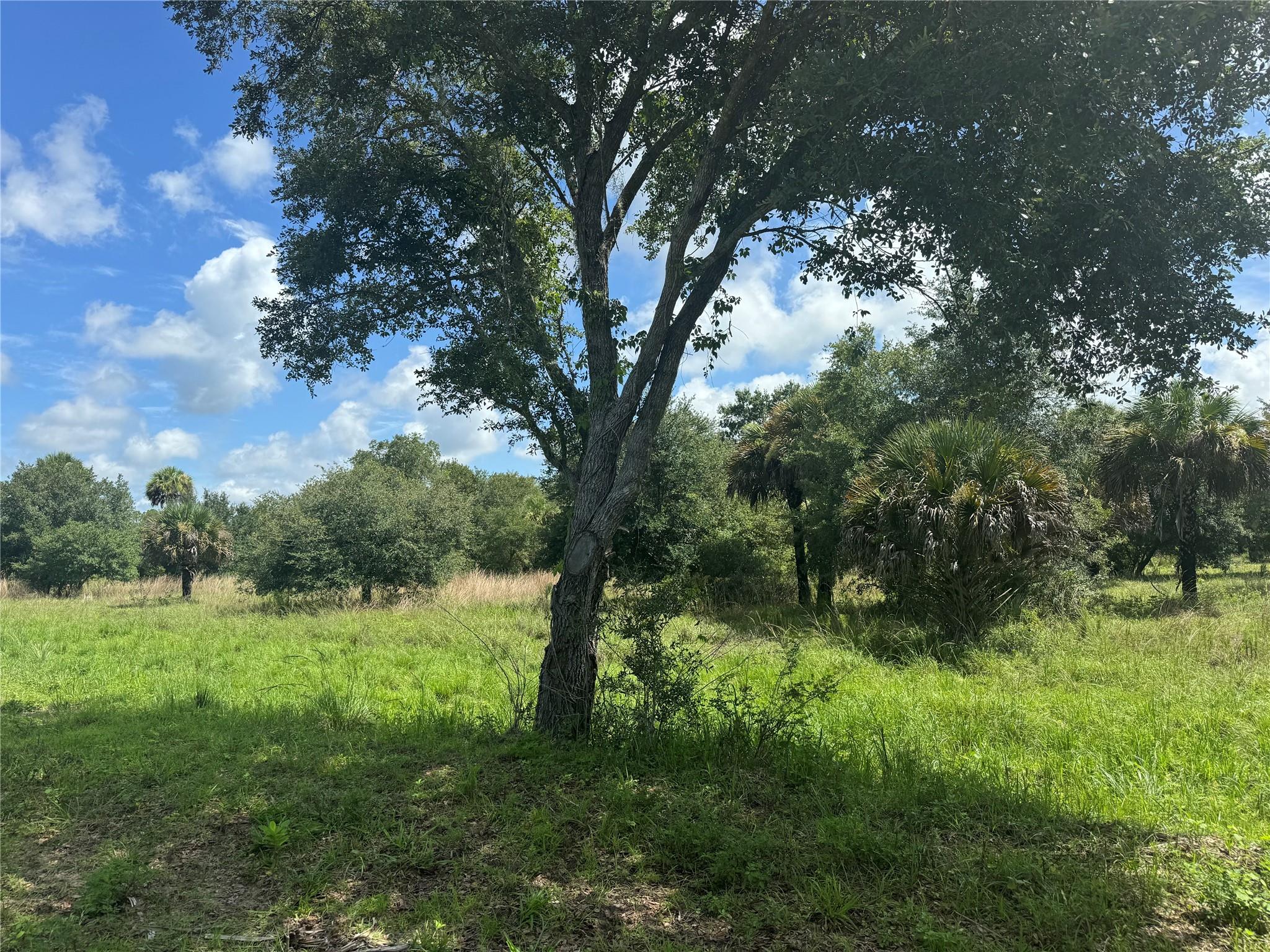 tbd Tbd Cr 832, Clewiston, FL 33440