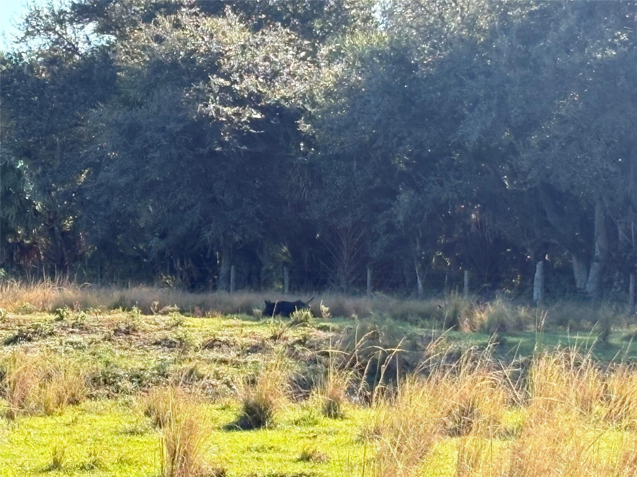 HWY 441N Highway 441n Highway 441, Okeechobee, FL 34972