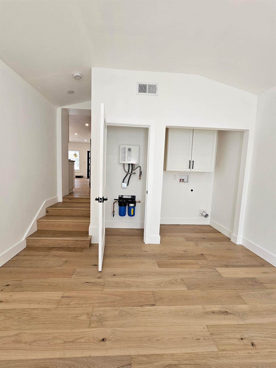 Laundry and tankless water heater with home filtration