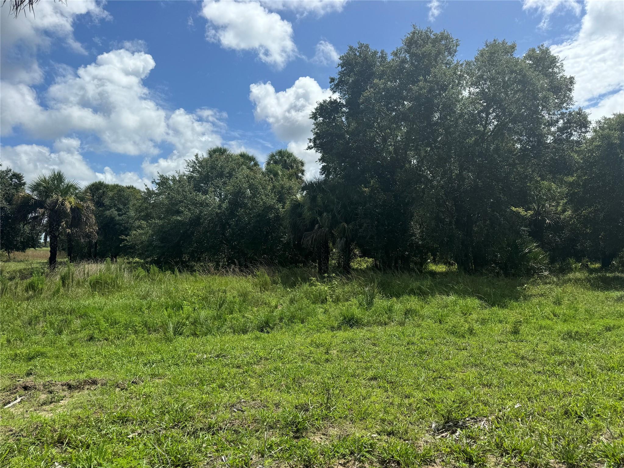 tbd Tbd Cr 832, Clewiston, FL 33440