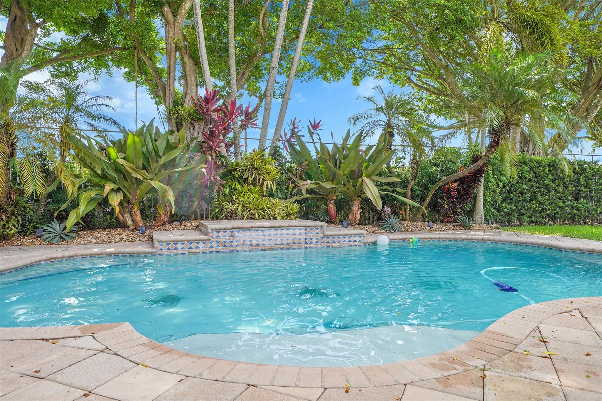 Private Backyard