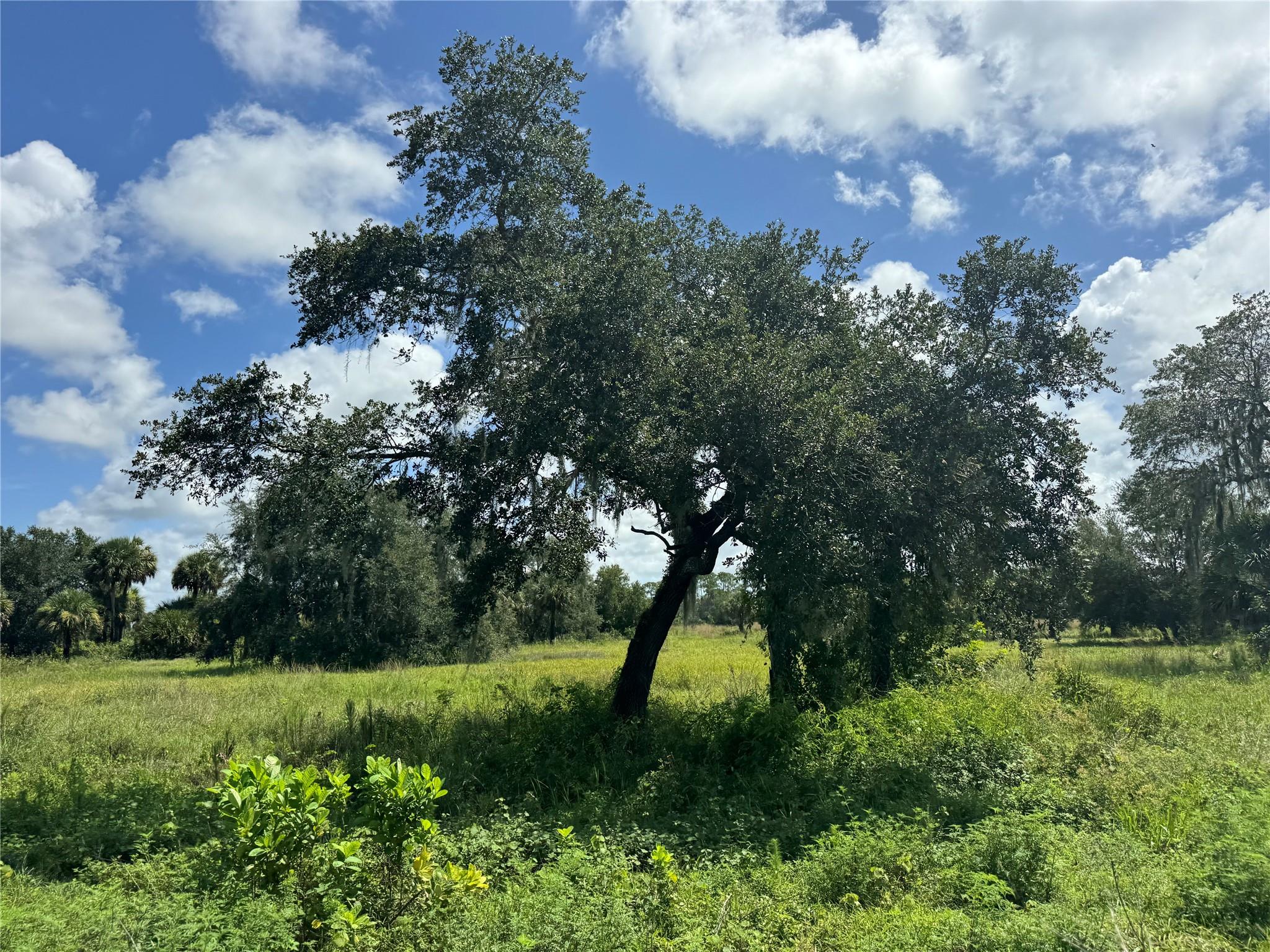 tbd Tbd Cr 832, Clewiston, FL 33440