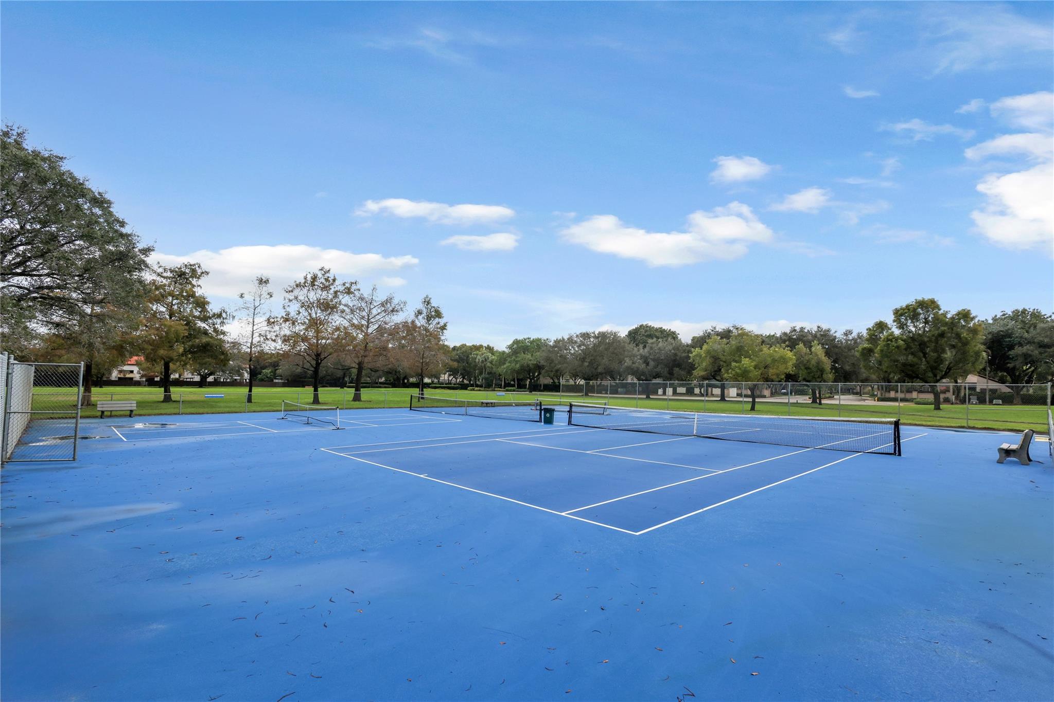 City Park- Diecke Tennis Court/Pickleball