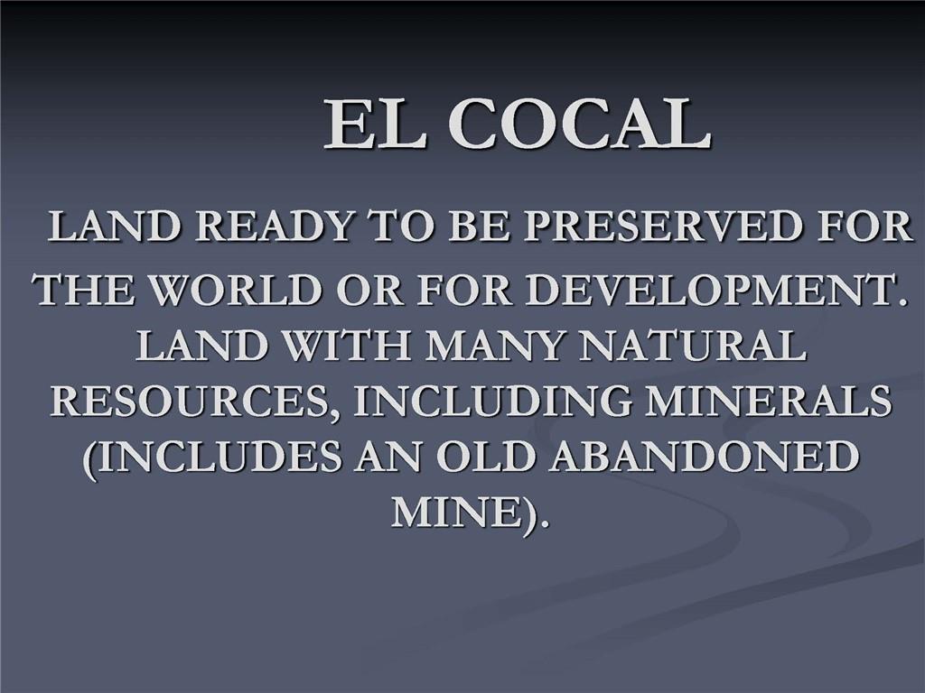 1001 Indian River, Other Fl City,