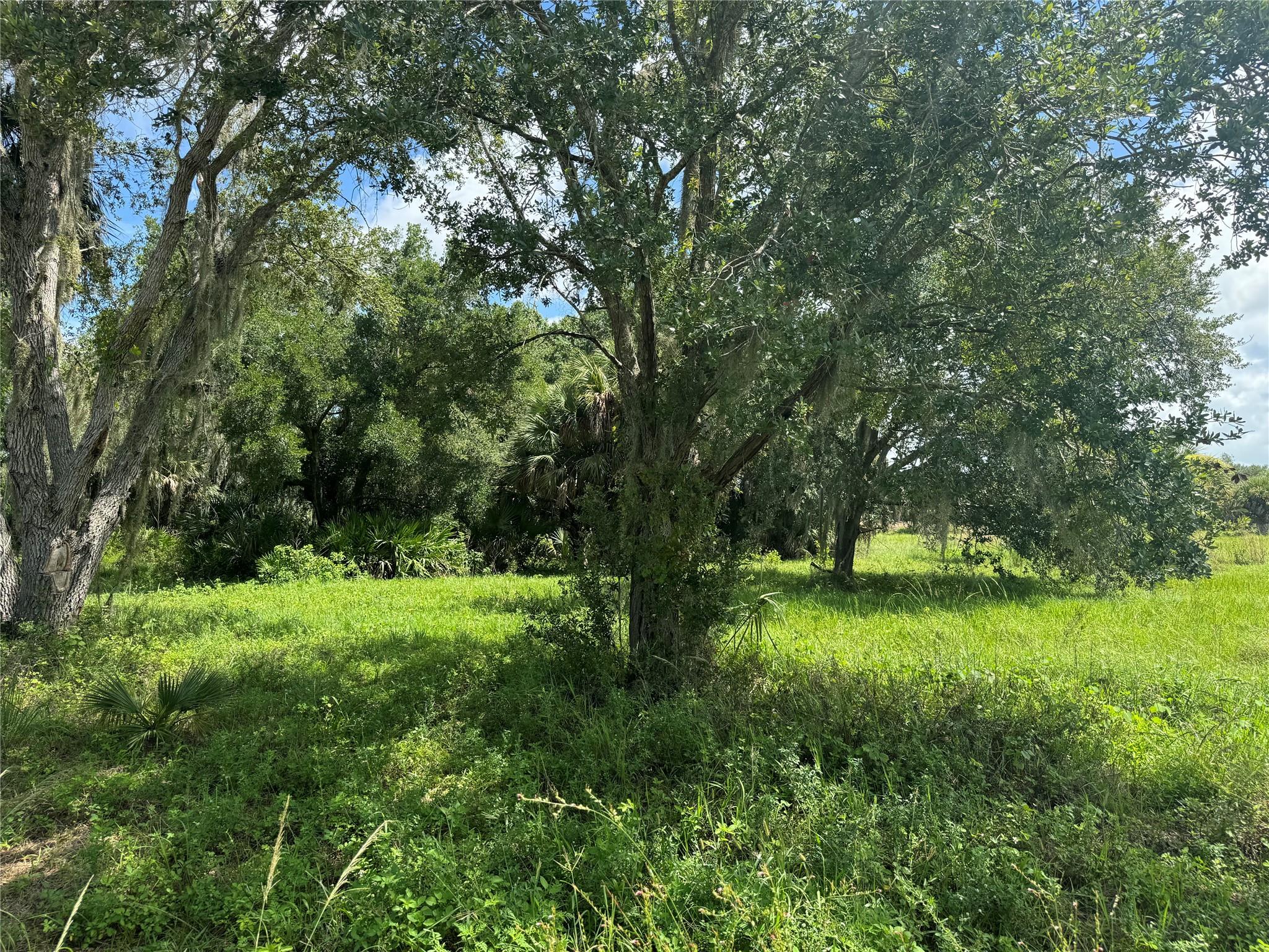tbd Tbd Cr 832, Clewiston, FL 33440