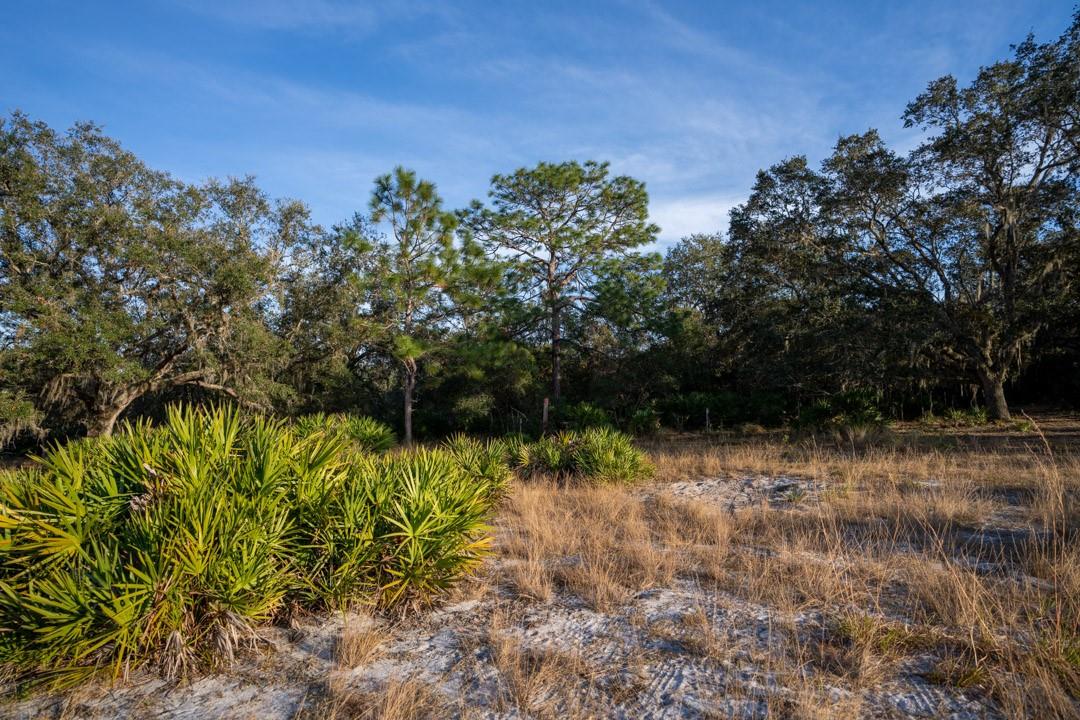 0 Lake Hatcheneha, Haines City, FL 33844