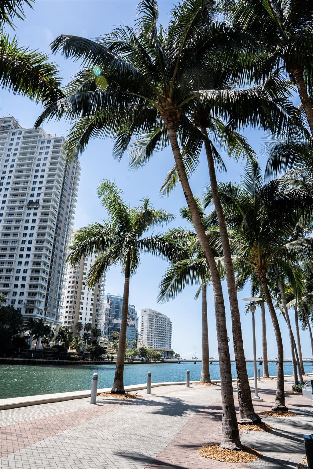 Photo for 475 Brickell Avenue, 1408, Miami, FL 33131 - Listing #FX-10499724 475 Brickell Avenue, 1408, Miami, FL 33131