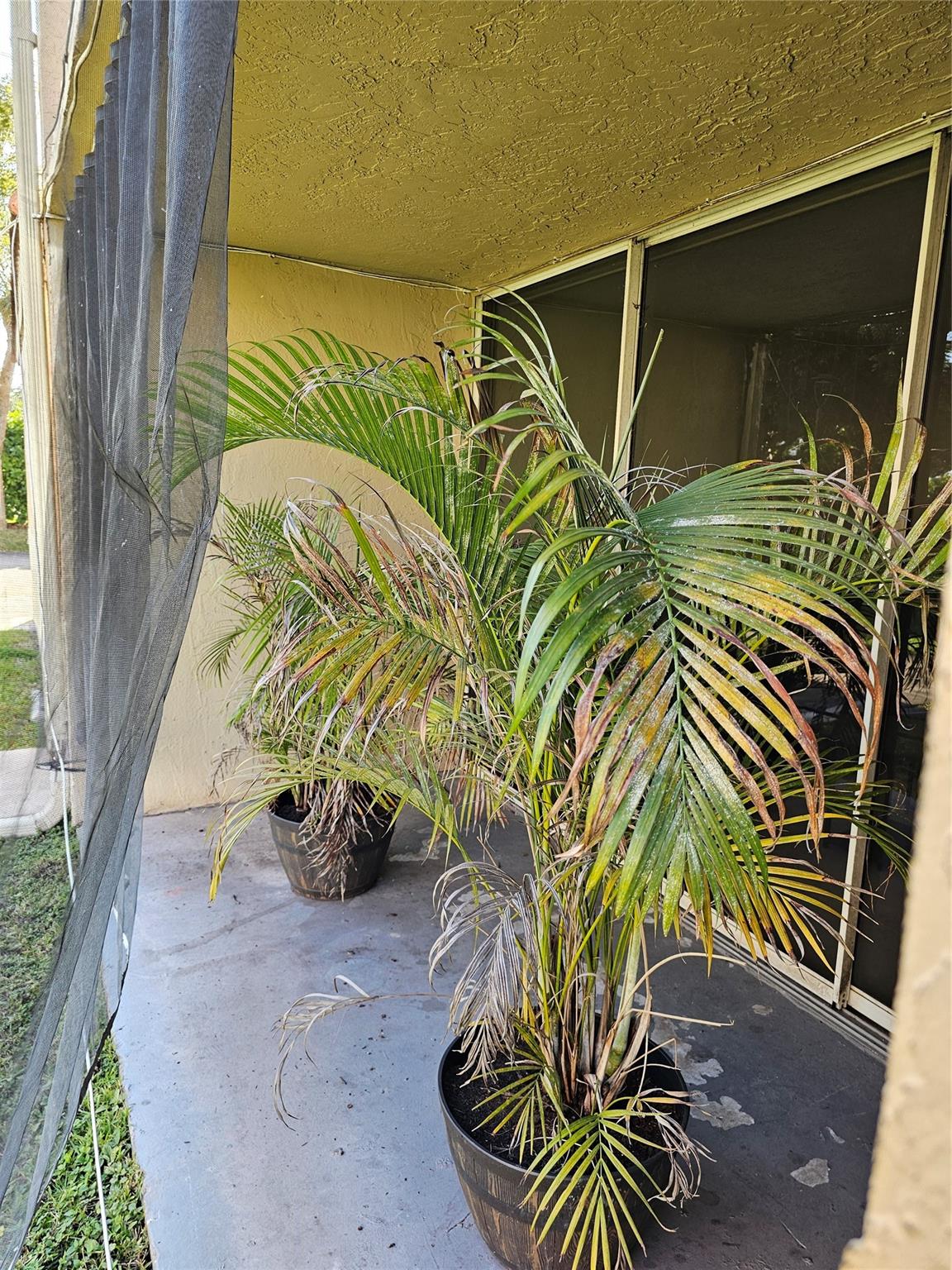 8294 NW 24th Street 8294, Coral Springs, FL 33065