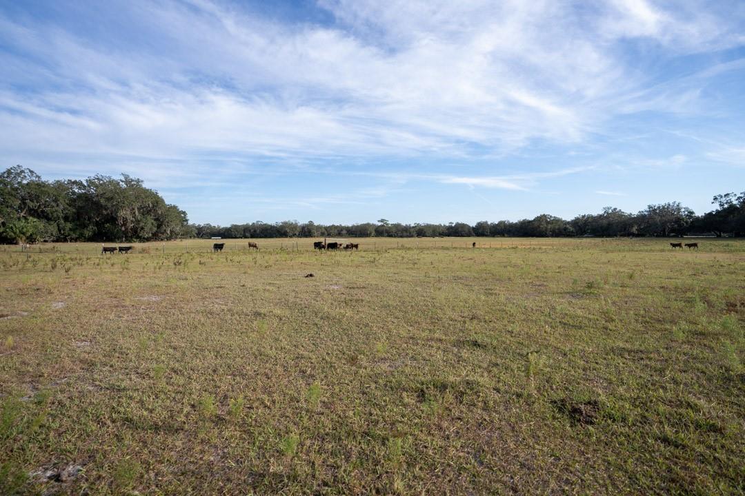 0 Lake Hatcheneha, Haines City, FL 33844