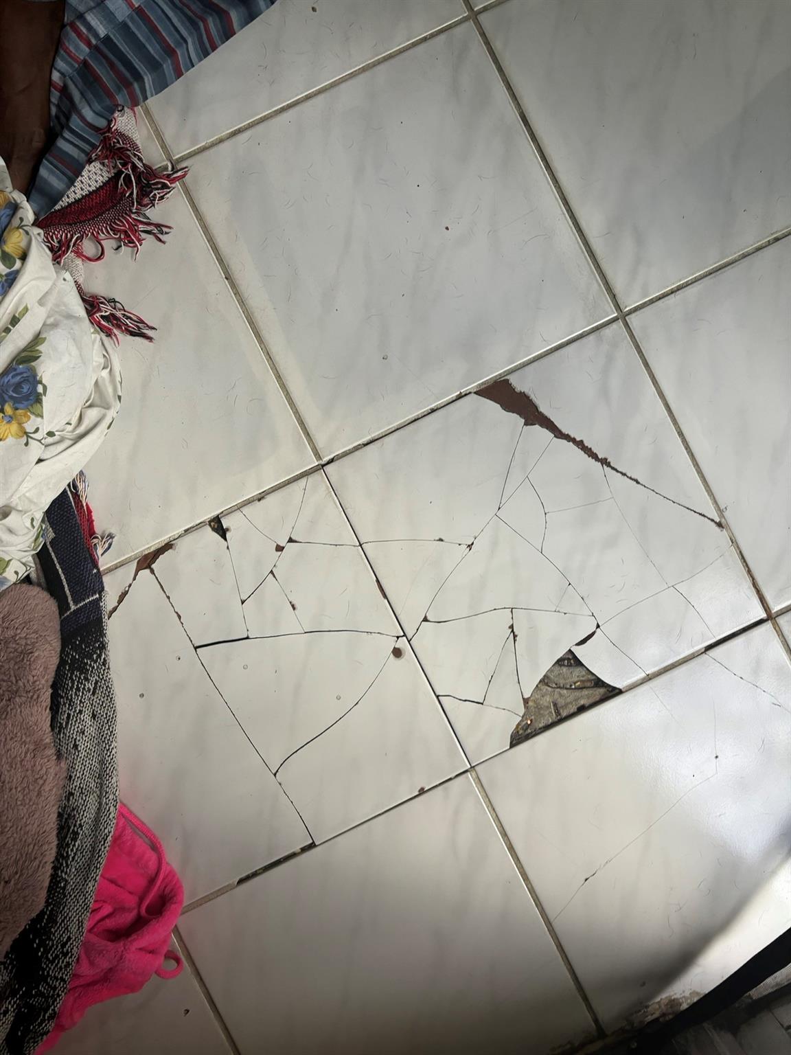 Tile broken in living room & floor uneven due to outside tree roots (extra tile available)