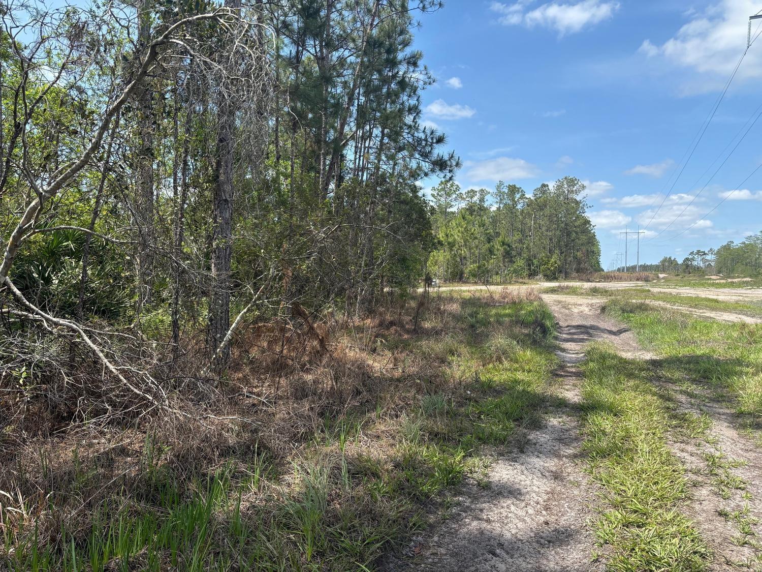 Photo for 0 Holopaw Groves Road, St. Cloud, FL 34772 - listing #FX-10536884 0 Holopaw Groves Road, St. Cloud, FL 34772