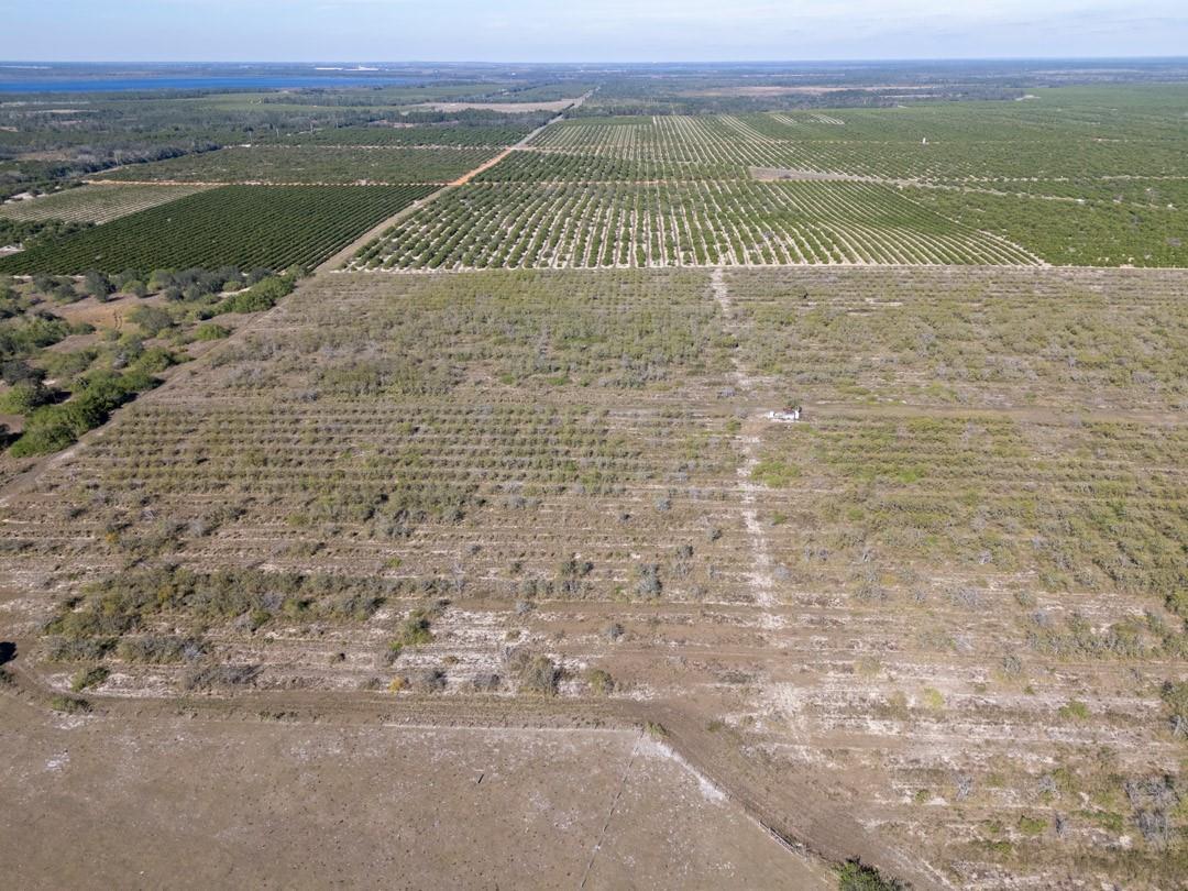 3073 Cr 627, Avon Park, FL 33825