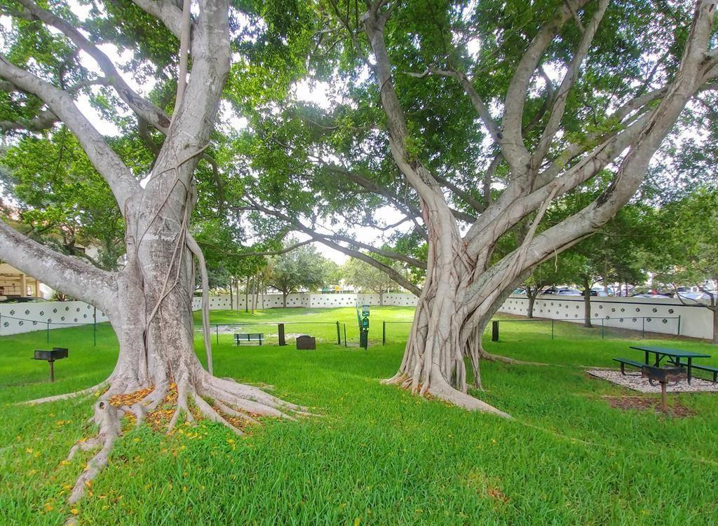 Dog Park & Grilling Area
