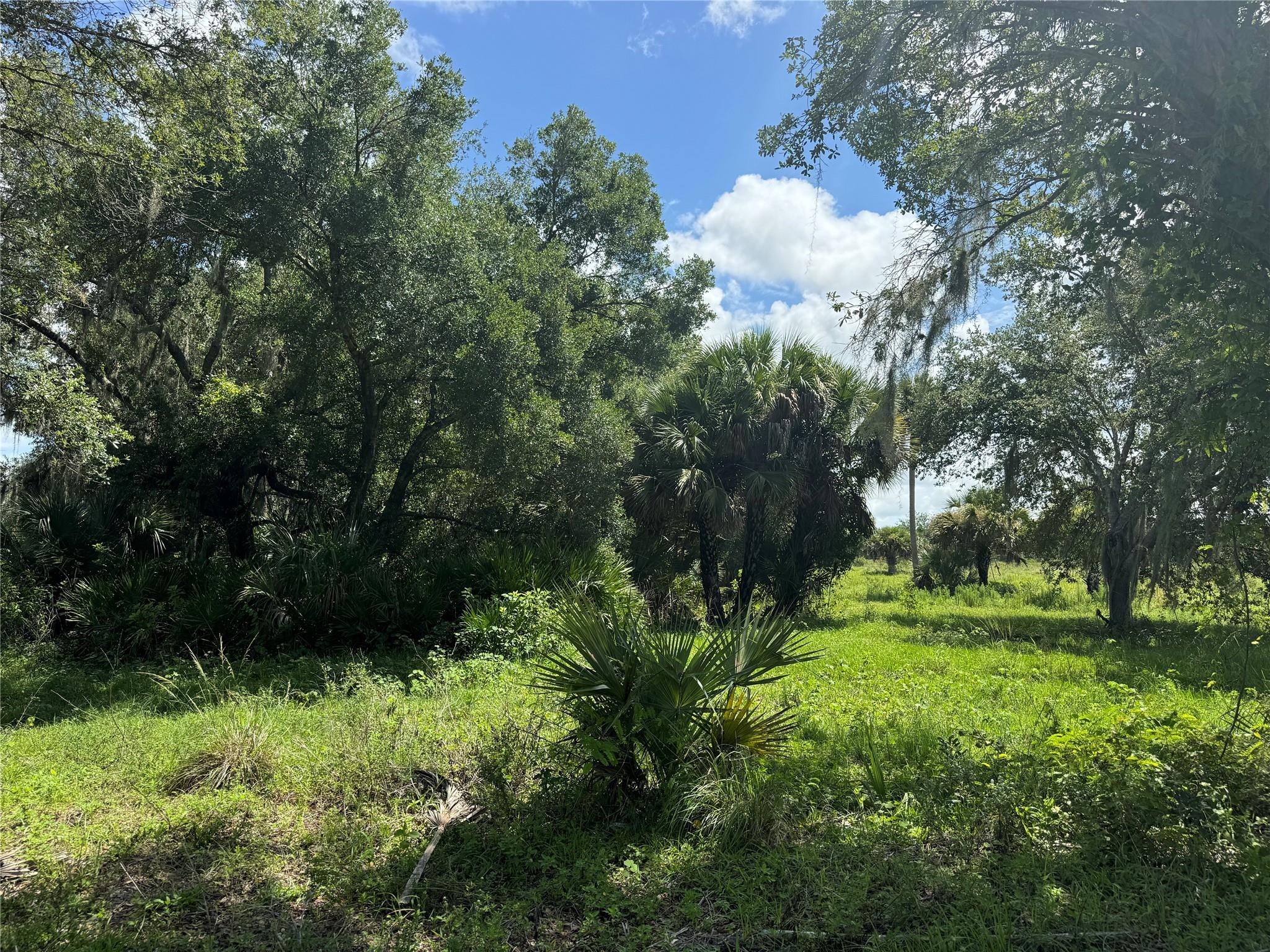 tbd Tbd Cr 832, Clewiston, FL 33440